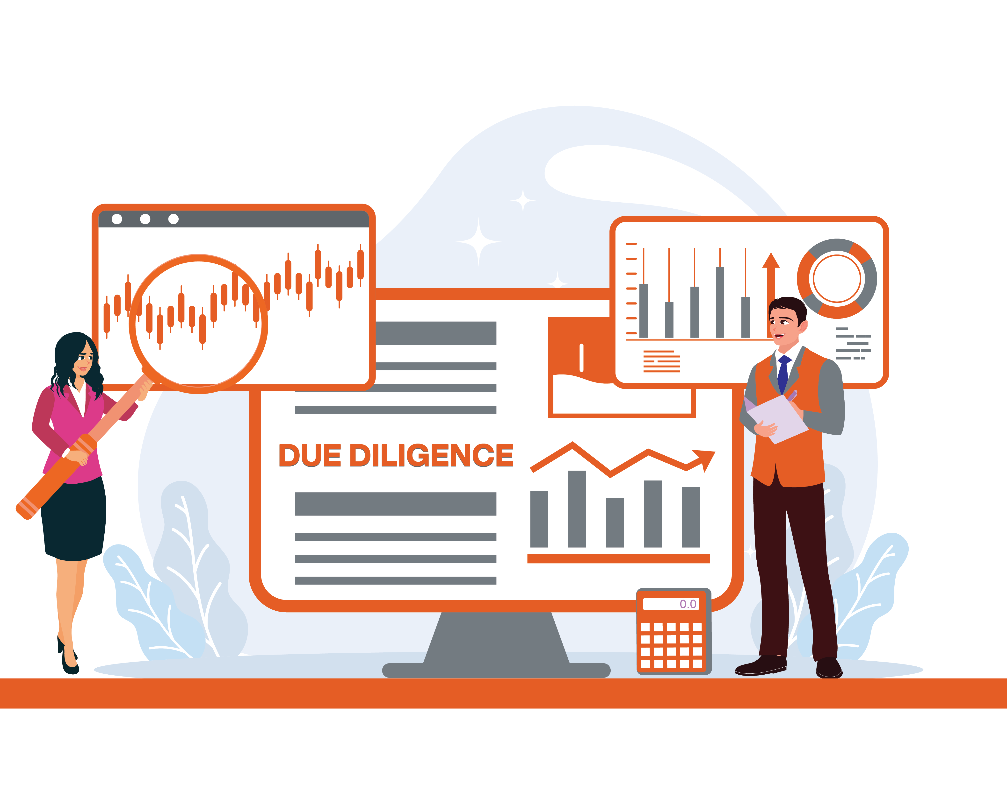 Due Diligence