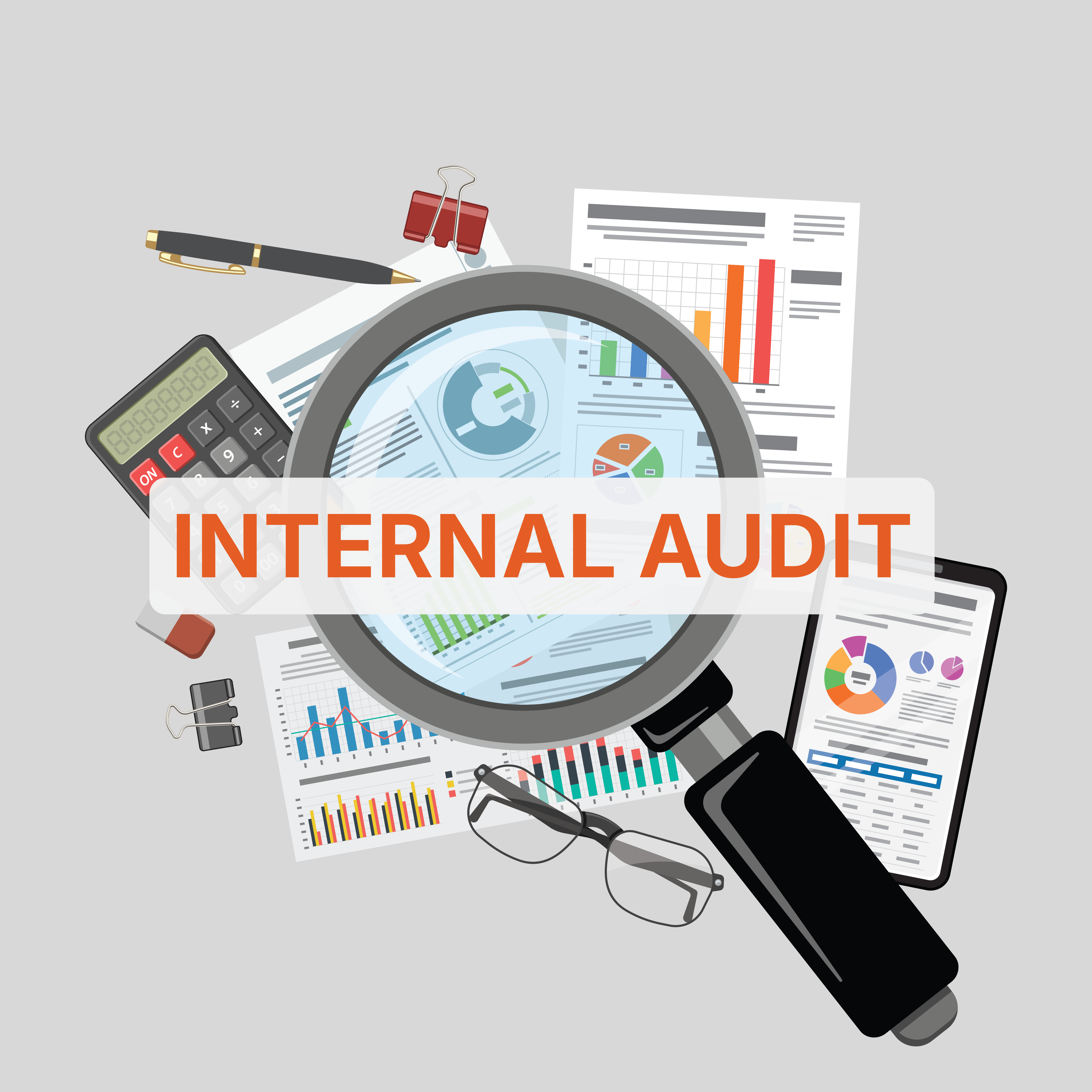 Internal Audit