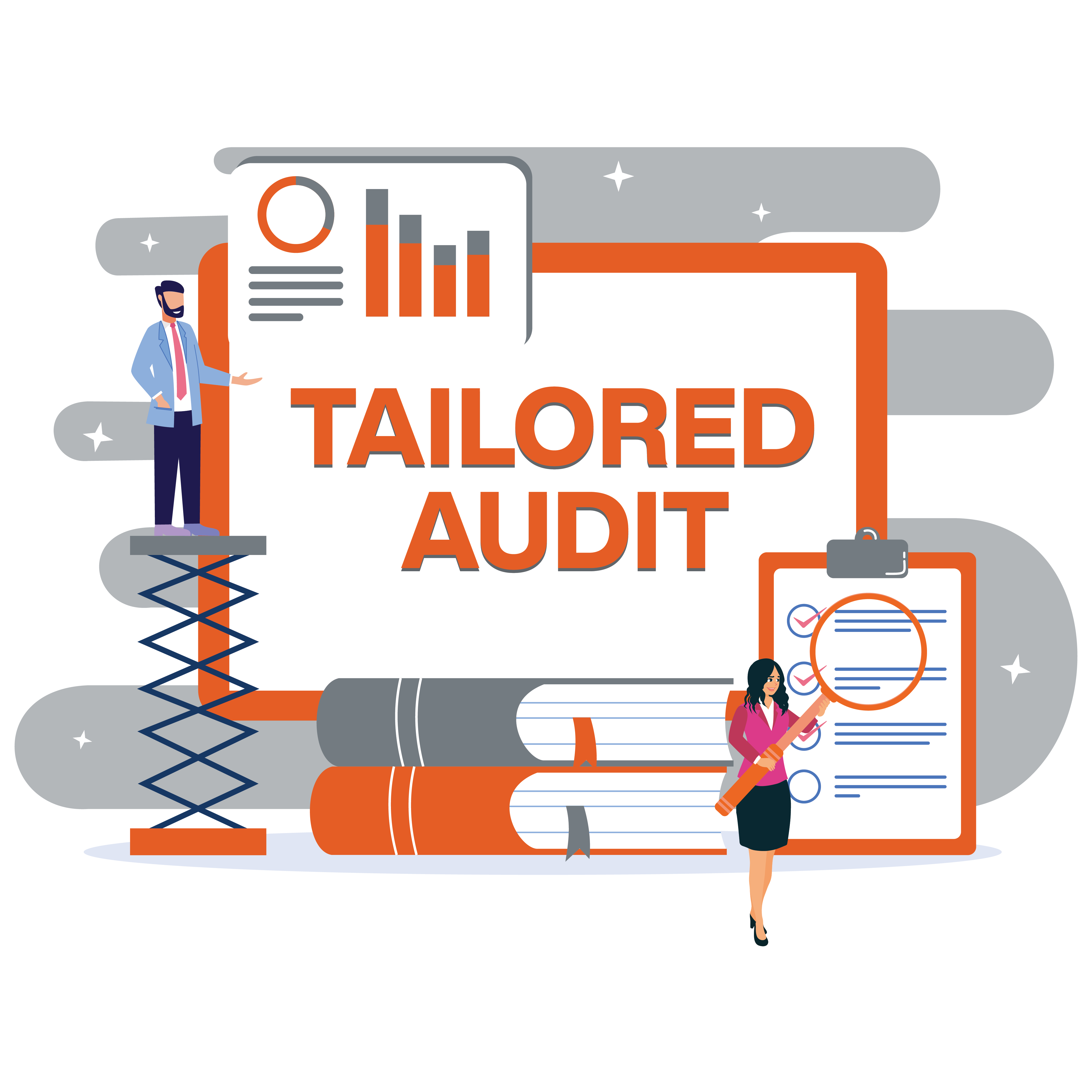Tailored Audit